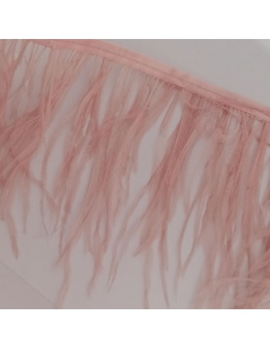 Frange da cucire Piume di Struzzo Vintage Rose pacco - 1MT.