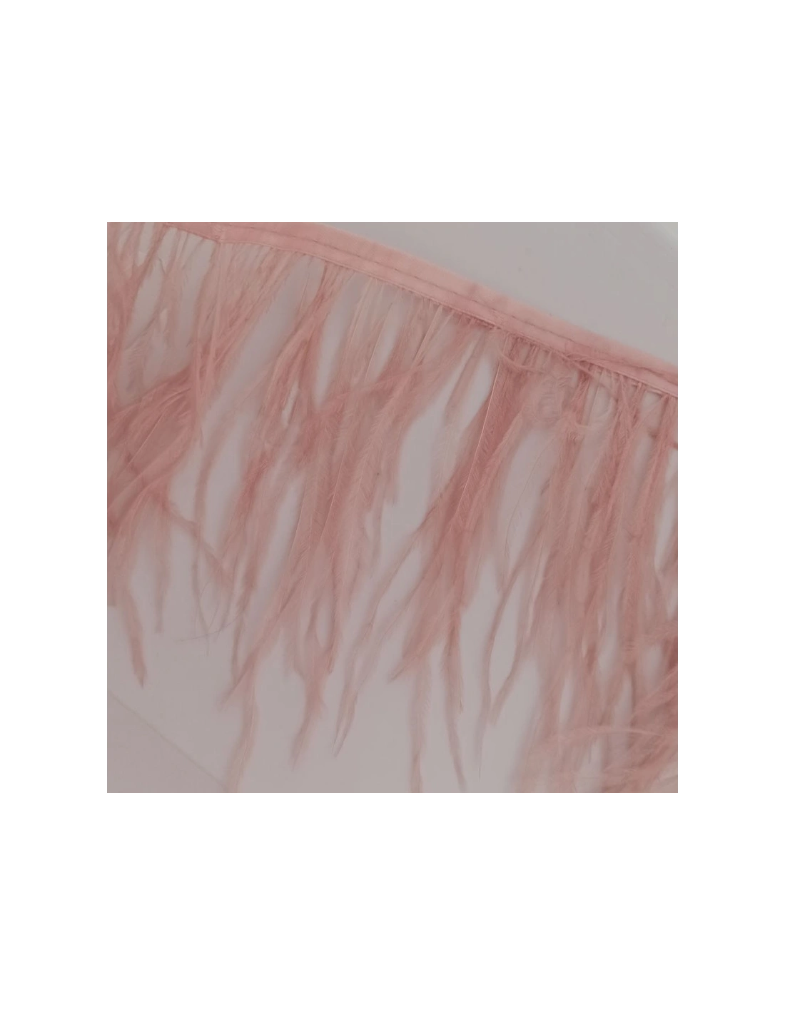 Frange da cucire Piume di Struzzo Vintage Rose pacco - 1MT.