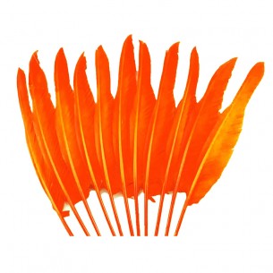 Rooster Feather Whip -... 2