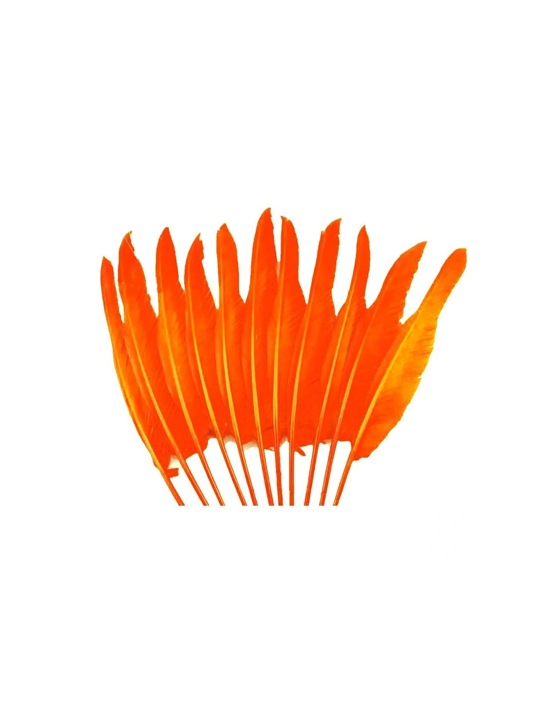 Piuma di Gallo Frusta cm. 30 - Arancio - 1PZ