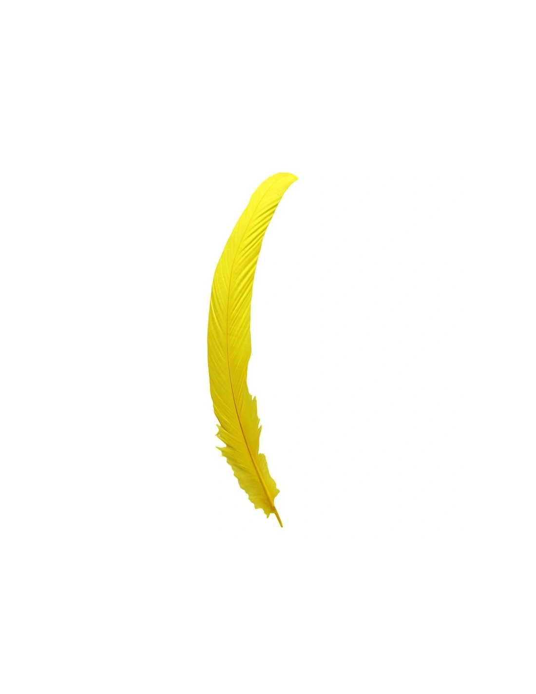 piume gialle, Piuma di Gallo Frusta cm. 30 - Giallo - 1PZ