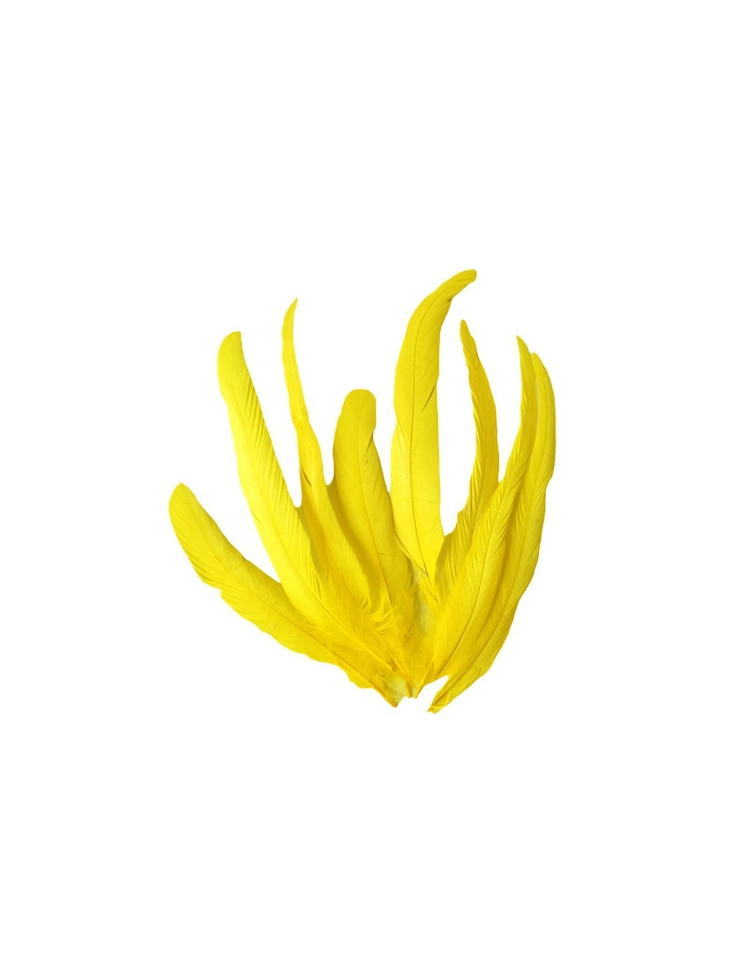 piume gialle, Piuma di Gallo Frusta cm. 30 - Giallo - 1PZ