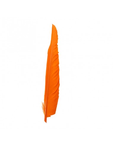 piuma arancione Piuma di Gallo Frusta cm. 30 - Arancio - 1PZ