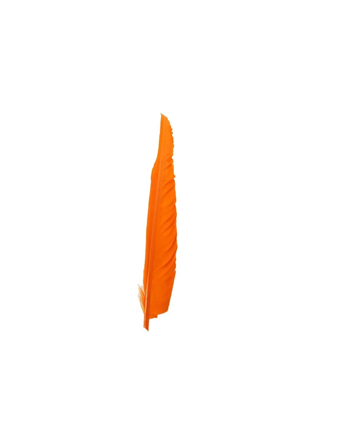 piuma arancione Piuma di Gallo Frusta cm. 30 - Arancio - 1PZ