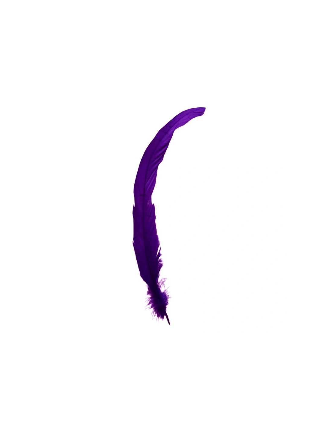 Rooster Feather Whip cm. 30 - White - 1PCS - Fringes and Feathers