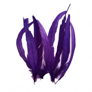 Rooster Feather Whip -... 2