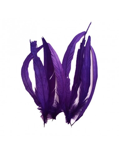 Rooster Feather Whip - Viola - 1PCS
