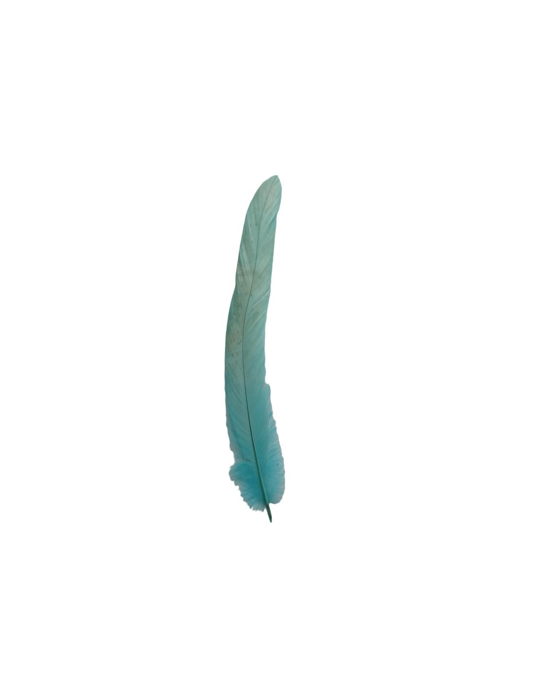Piuma di Gallo Frusta - Tiffany - 1PZ piuma tiffany