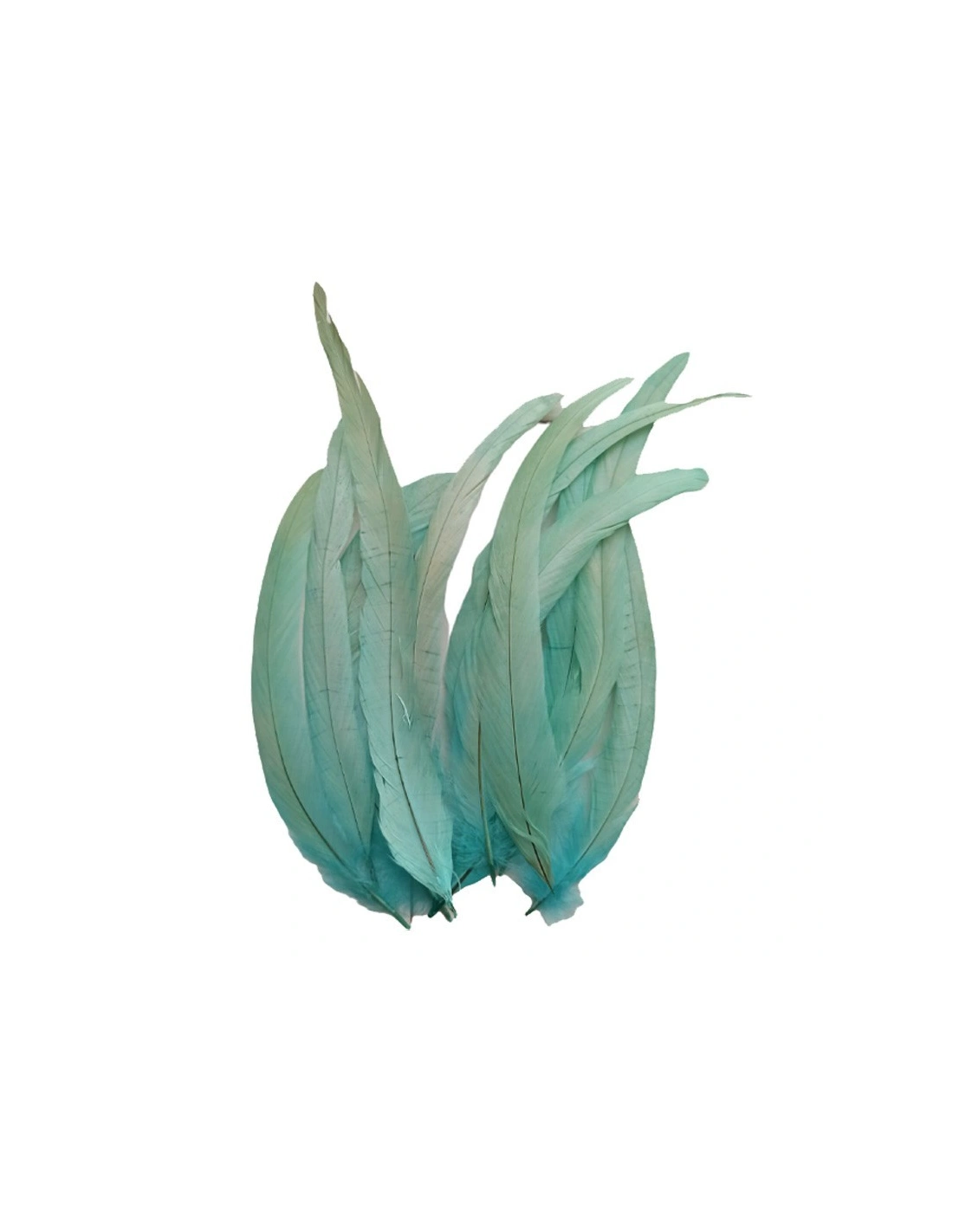 Piuma di Gallo Frusta - Tiffany - 1PZ piuma tiffany