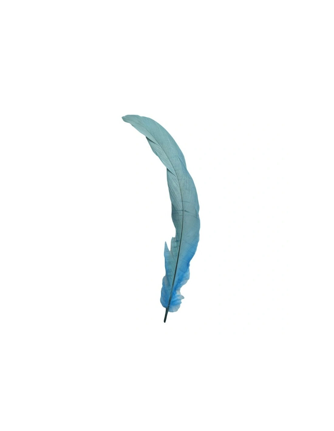 Piuma di Gallo Frusta - Aquamarine - 1PZ