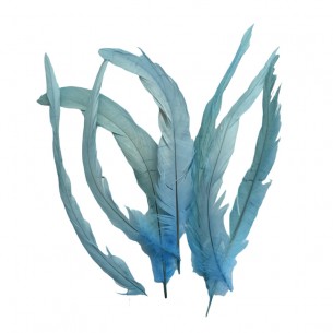 Piuma di Gallo Frusta - Aquamarine - 1PZ 2