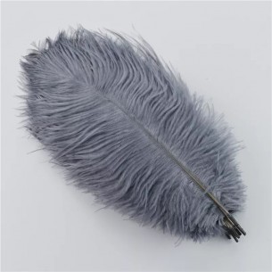 Ostrich Feather cm. 20-25...