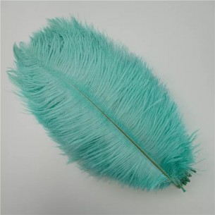 Ostrich Feather cm. 20-25...