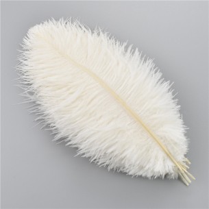 Ostrich Feather cm. 45-50...