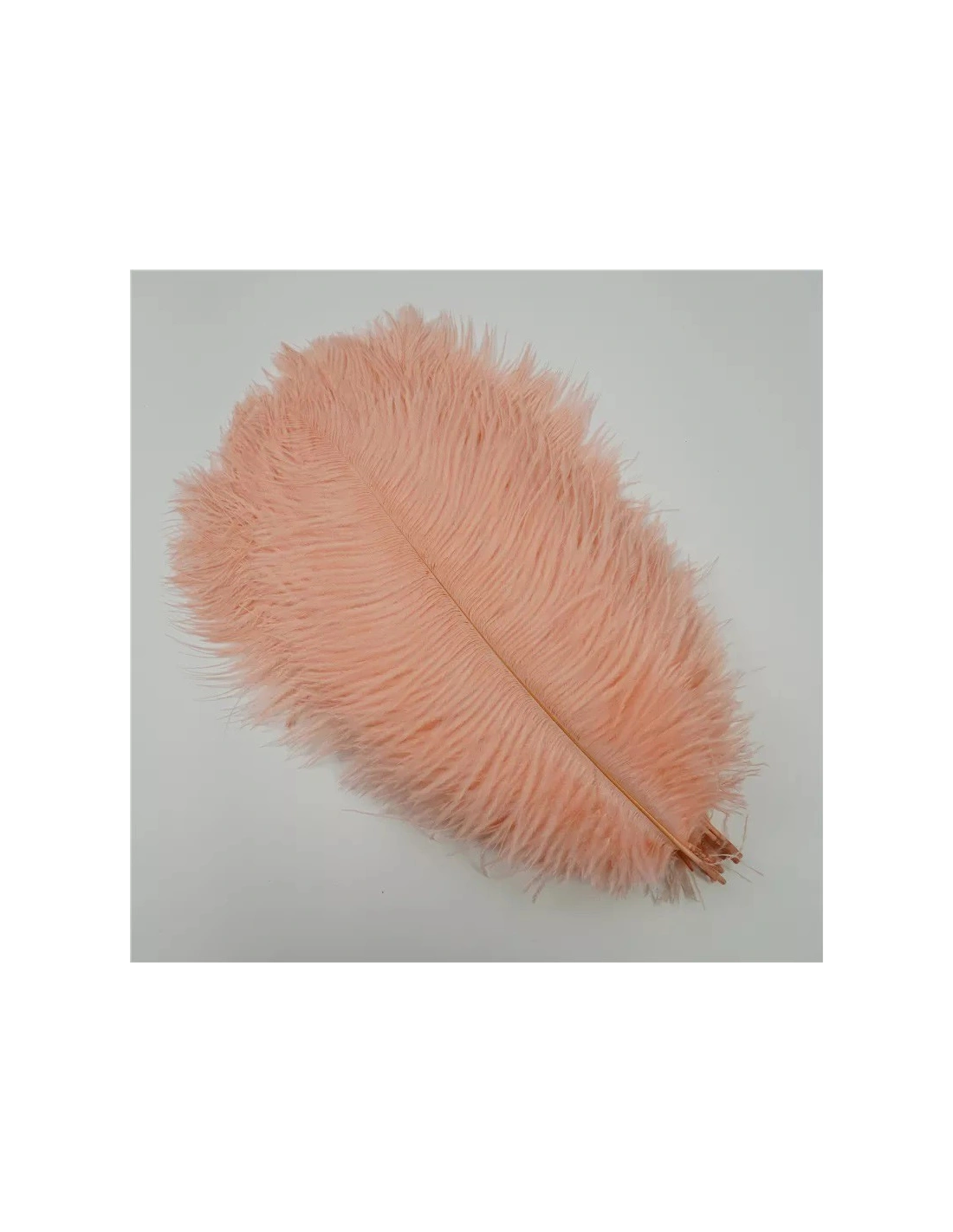 Piuma di Gallo Frusta cm. 30 - Bianco - 1PZ - Frange e Piume
