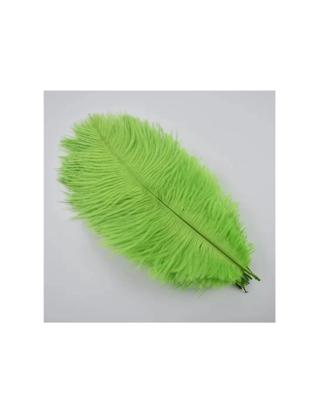 Piuma di Gallo Frusta cm. 30 - Bianco - 1PZ - Frange e Piume