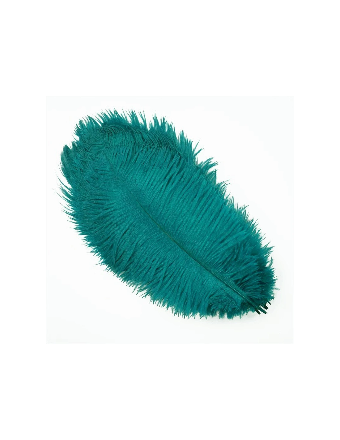 Piuma di Struzzo cm. 45-50 Turchese - 1PZ