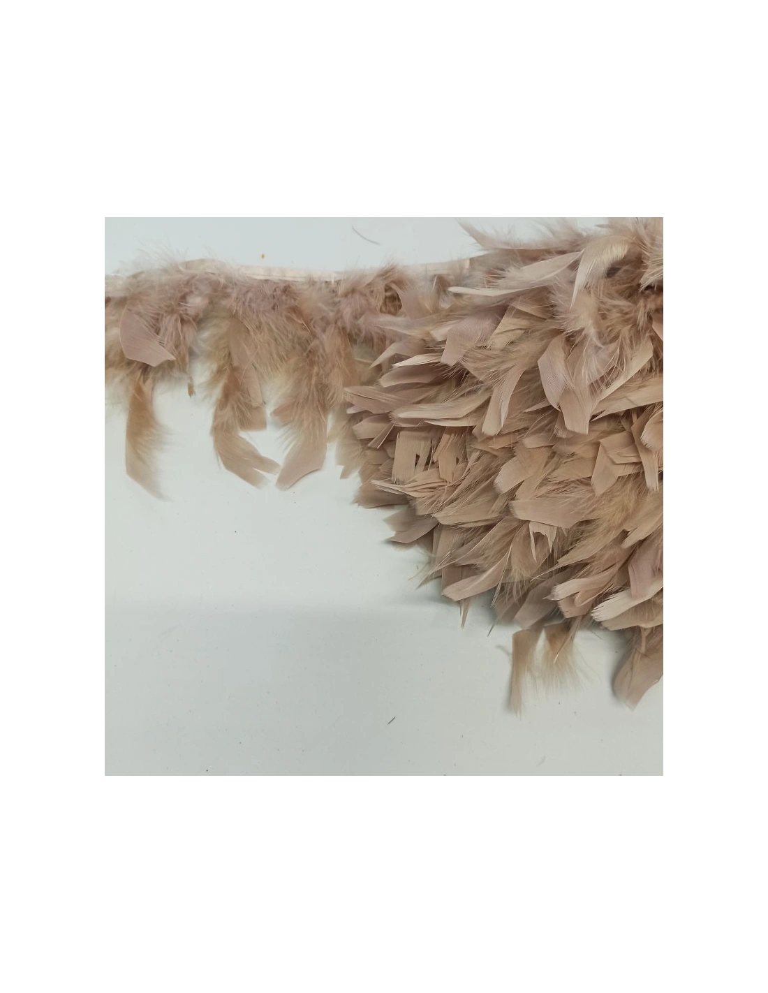 Frange da cucire Piume di Tacchino Beige pacco - 1MT.