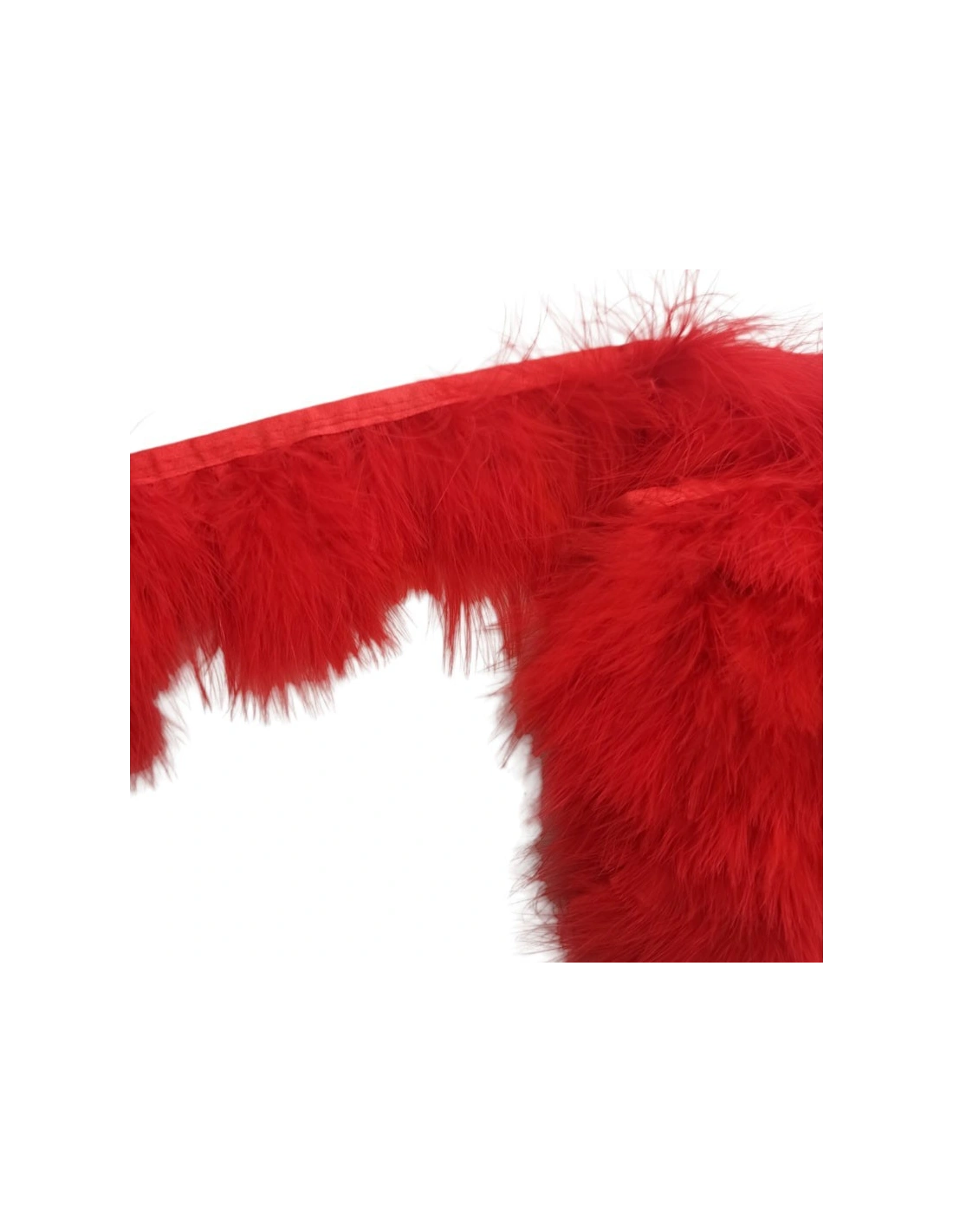 Frange da cucire con Piume Rosso pacco - 1MT.