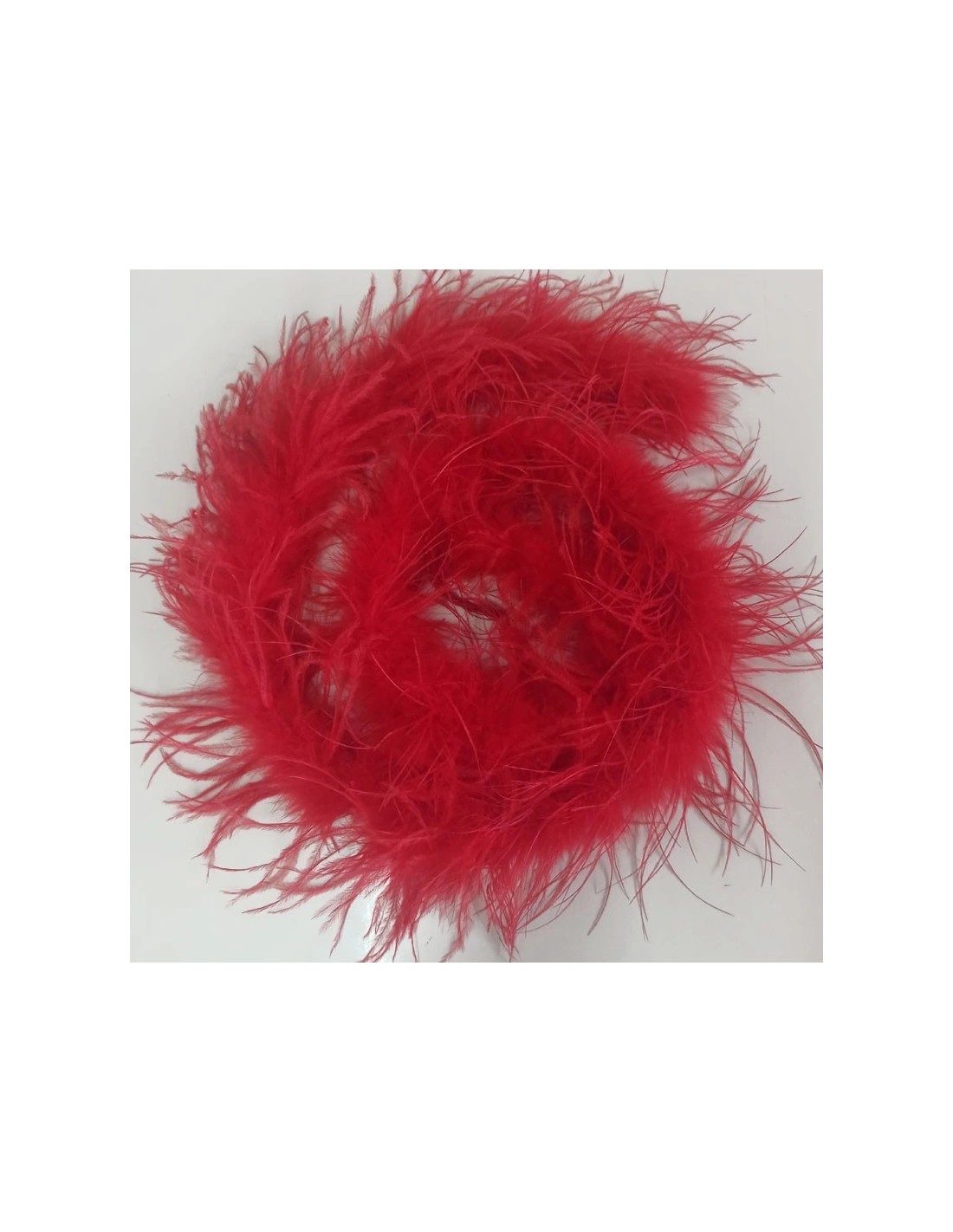 Boa Ostrich Feather Red - Pack of 2 mt.