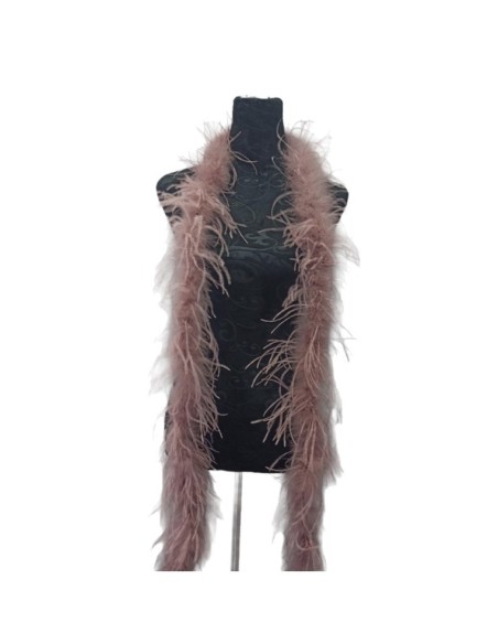Boa Ostrich Feather Vintage Rose - Pack of 2 mt.
