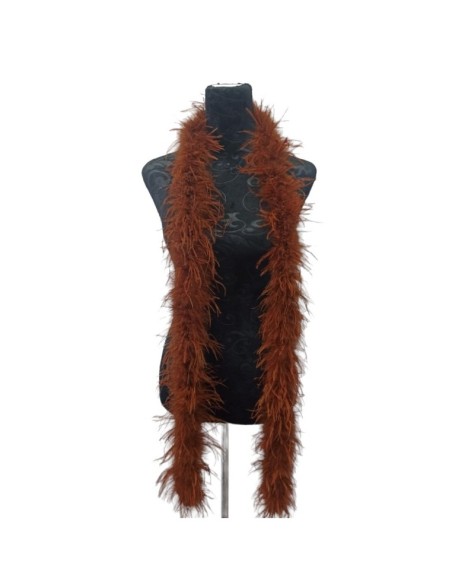 Boa Ostrich Feather Brown - Pack of 2 mt.