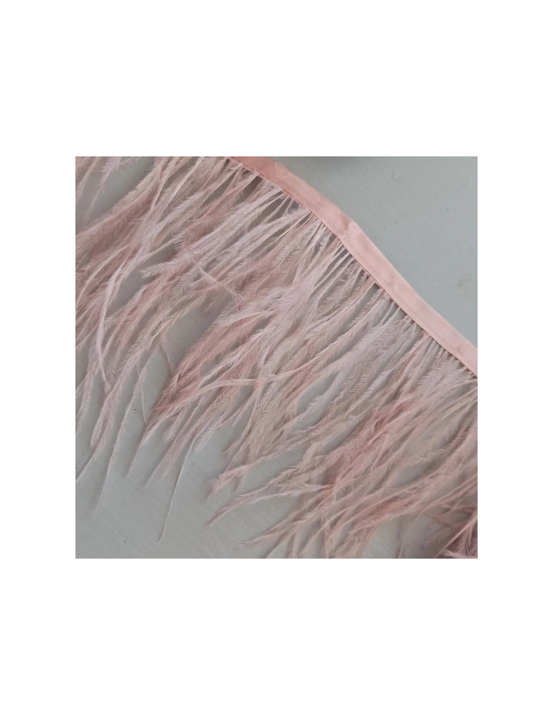 Fringe Sewing Black Ostrich Feathers  Pack - 1MT. - Fringes and Feathers