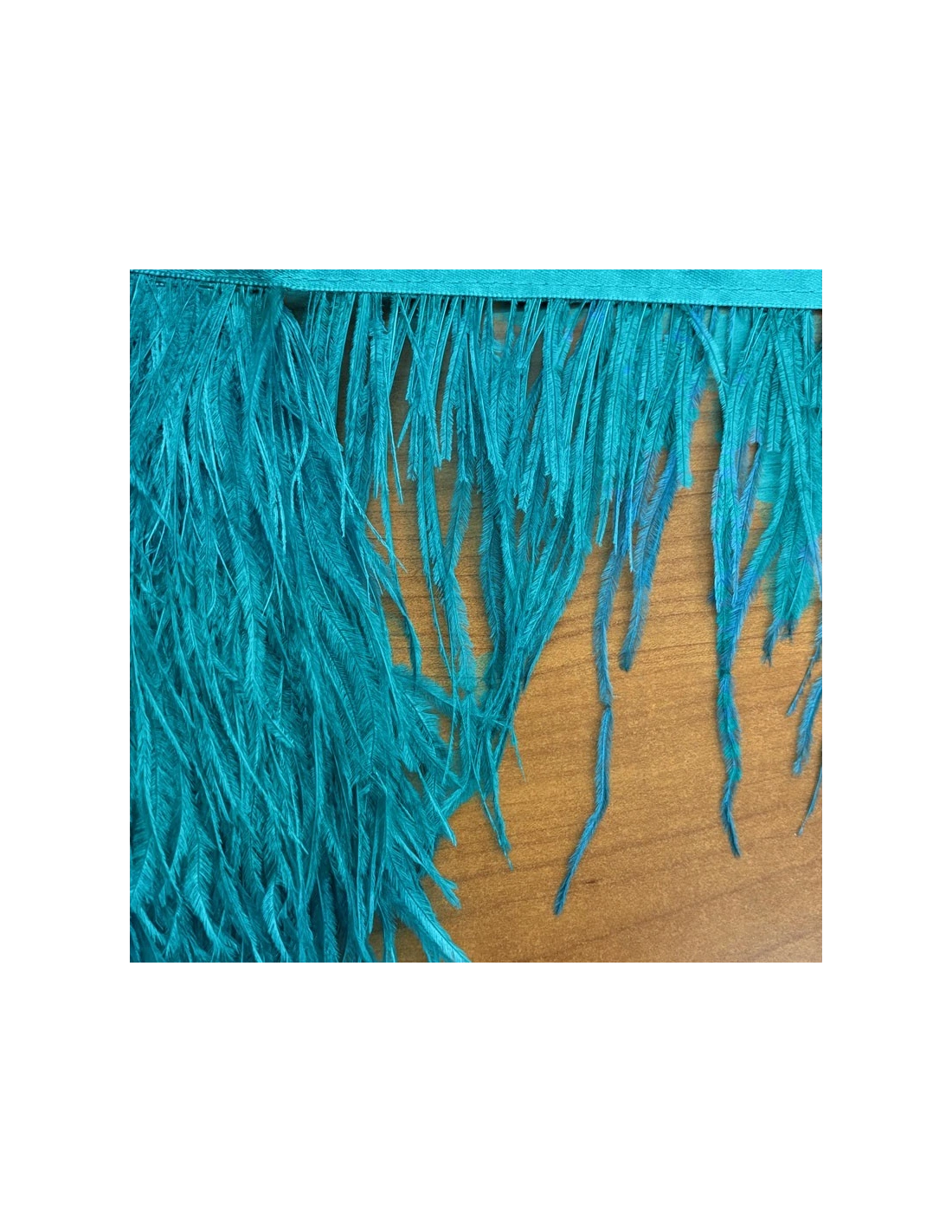 Fringe Sewing Rose Ostrich Feathers  Pack - 1MT. - Fringes and Feathers