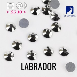 Strass GT Crystal Termoadesivi ss 10 Labrador - 288PZ