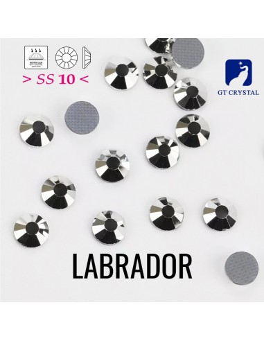 Strass GT Crystal Termoadesivi ss 10 Labrador - 288PZ