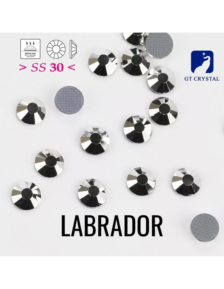 Strass GT Crystal Termoadesivi ss 30 Labrador - 144PZ