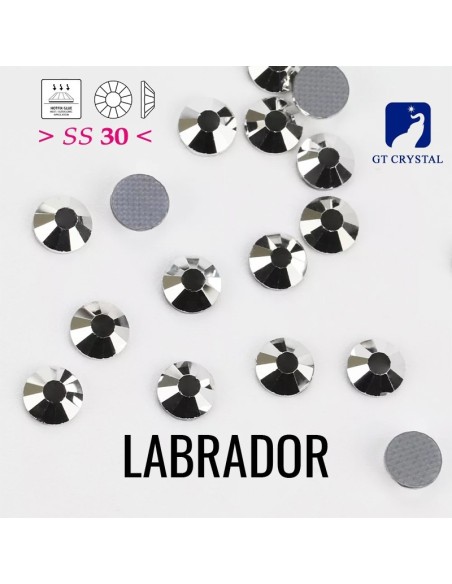Strass GT Crystal Termoadesivi ss 30 Labrador - 144PZ