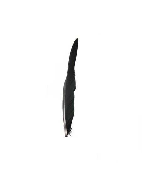 Rooster Feather Whip cm. 30 - Black 1PCS - Fringes and Feathers