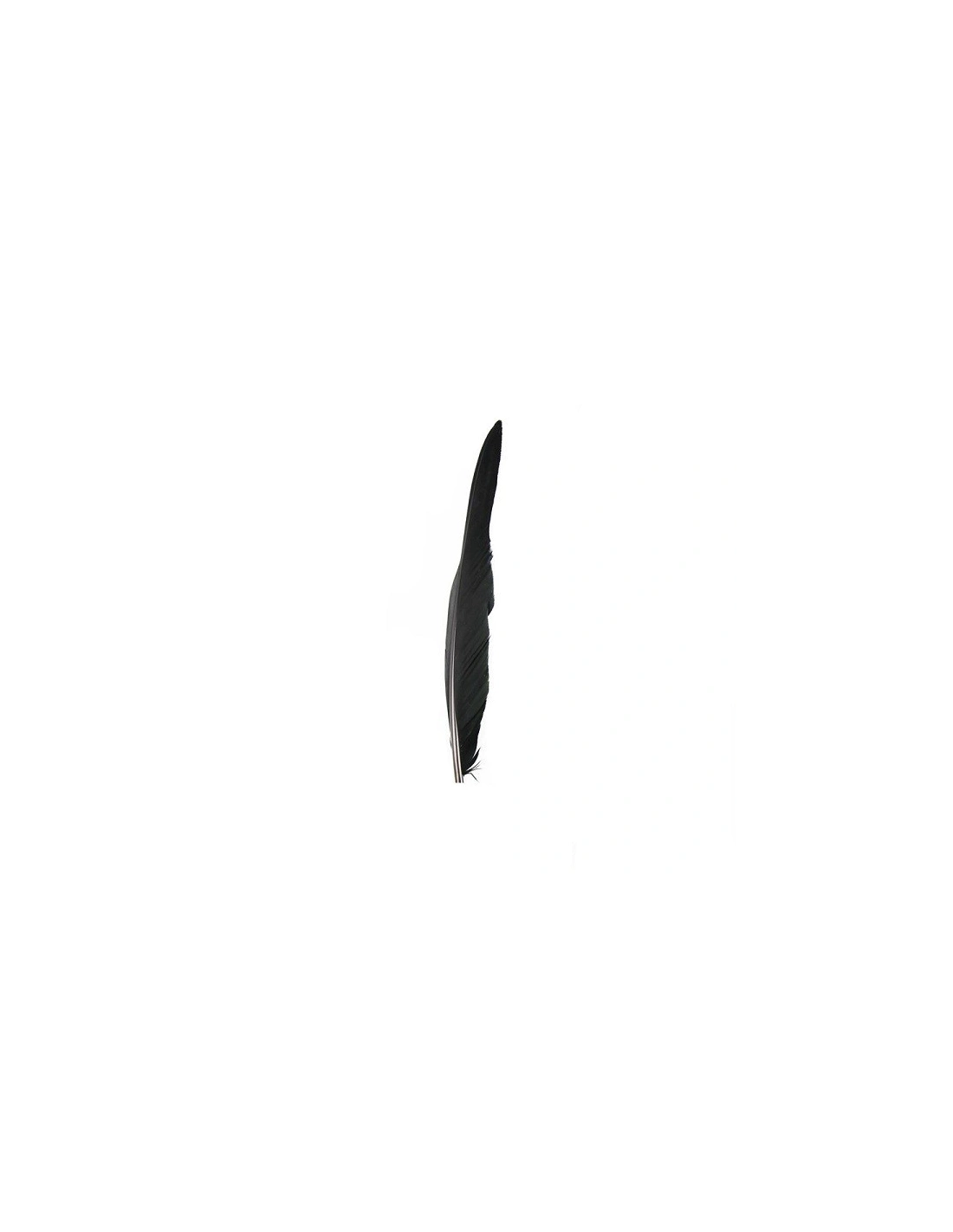 Rooster Feather Whip cm. 30 - Black 1PCS - Fringes and Feathers