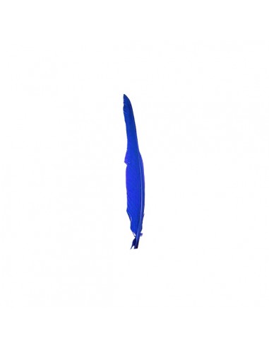 Piuma di Gallo Frusta cm. 30 - Blu