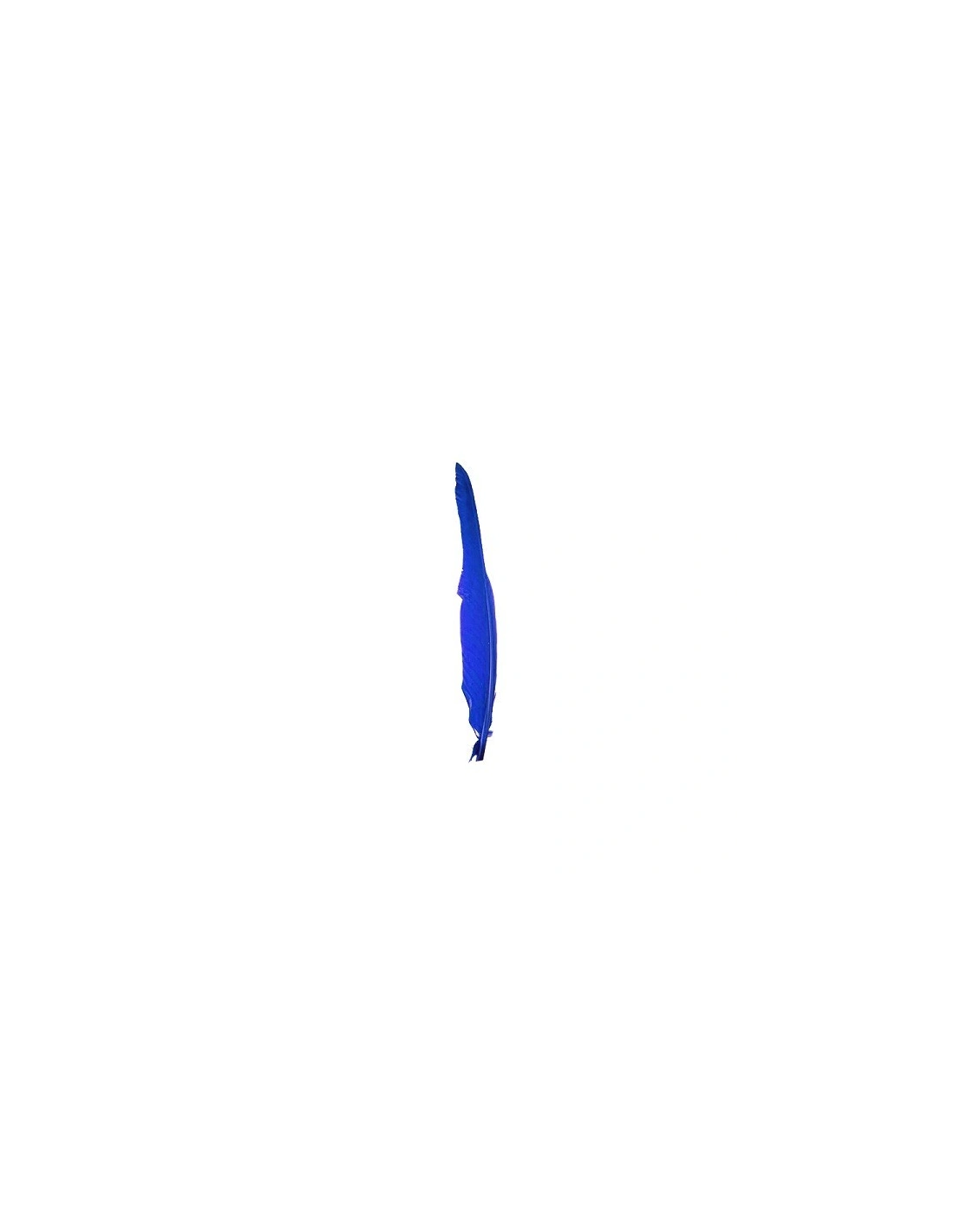 Piuma di Gallo Frusta cm. 30 - Blu
