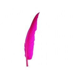Rooster Feather Whip -...