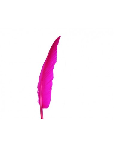 Piuma di Gallo Frusta cm. 30 - Fuchsia