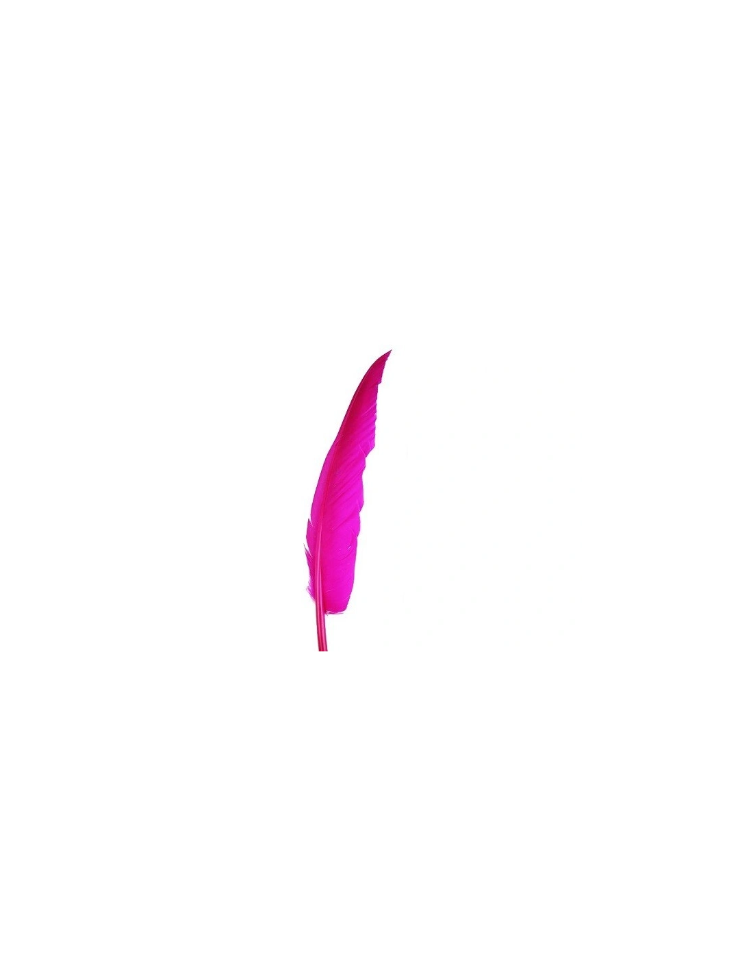 Piuma di Gallo Frusta cm. 30 - Fuchsia