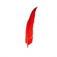 Rooster Feather Whip - Red...