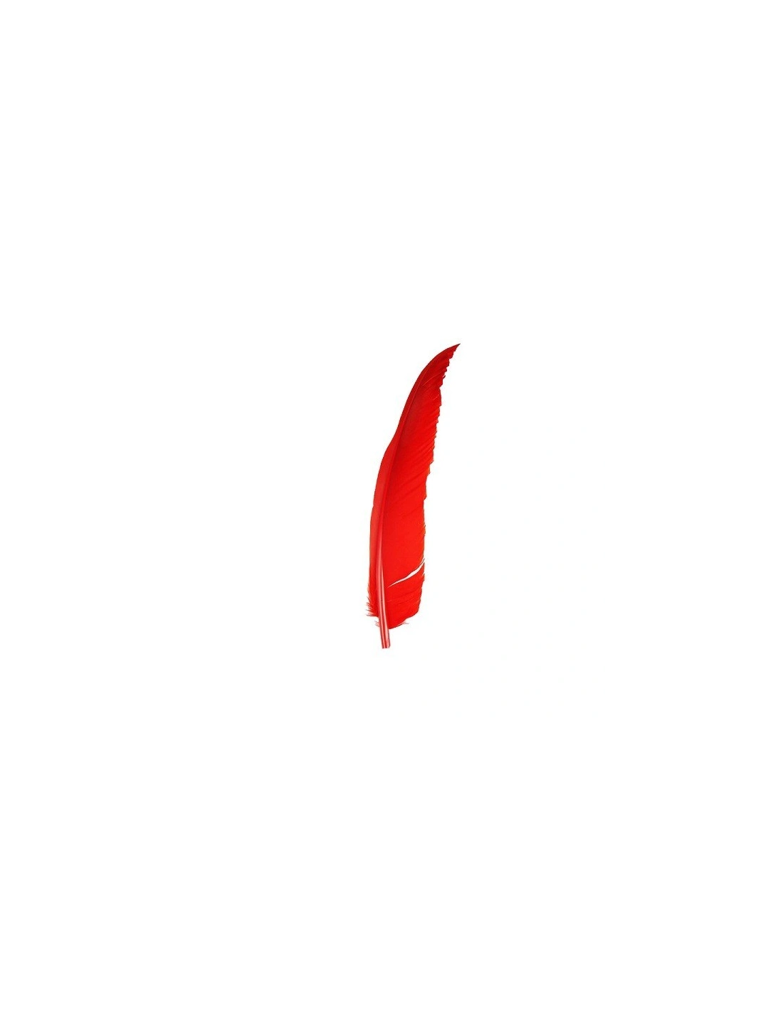 Rooster Feather Whip cm. 30 - Red - 1PCS - Fringes and Feathers