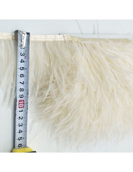 Beige deals ostrich feathers