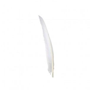 Piuma di Gallo Frusta cm. 30 - Bianco