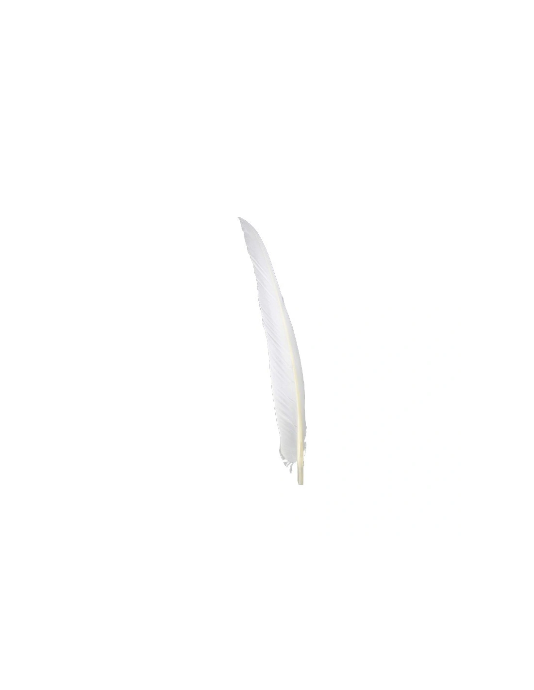Piuma di Gallo Frusta cm. 30 - Bianco