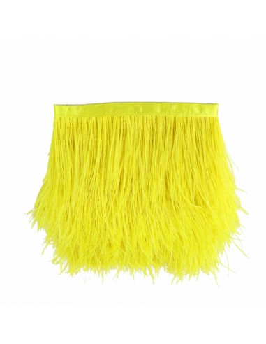 Fringe Sewing Citrine Ostrich Feathers  Pack - 1MT.