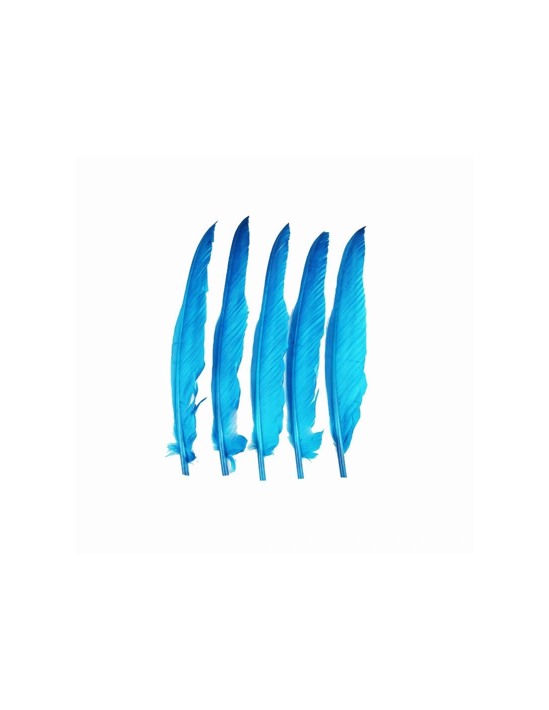 Piuma di Gallo Frusta cm. 30 - Azzurro