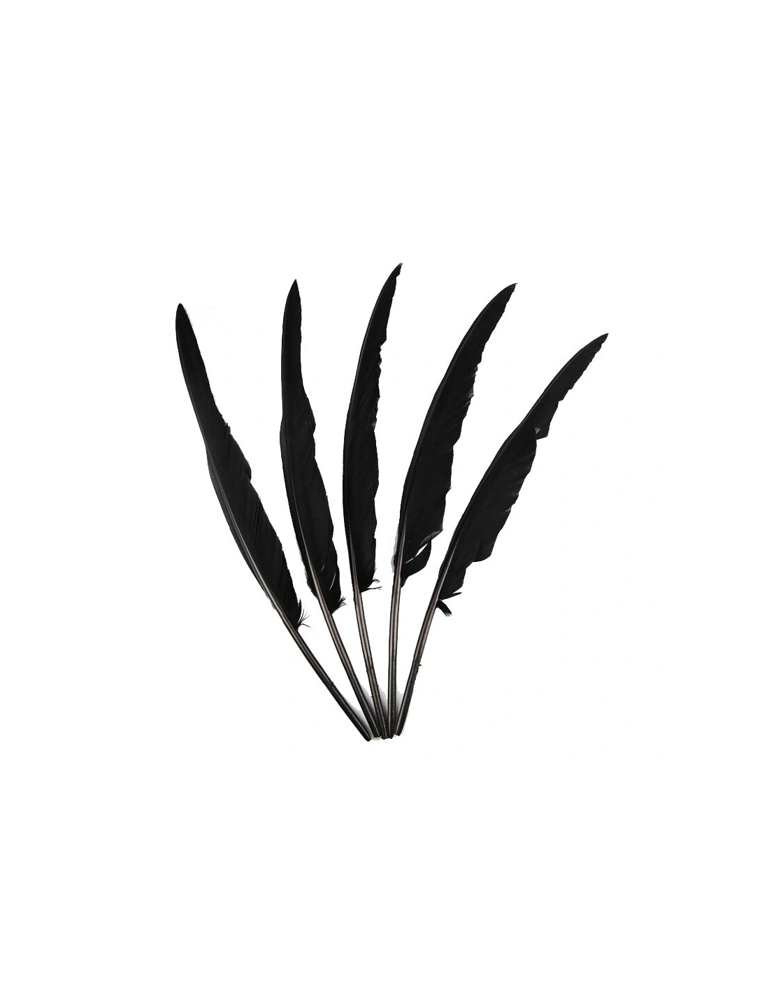 Rooster Feather Whip cm. 30 - Black 1PCS - Fringes and Feathers
