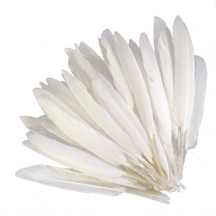 Piuma di Gallo Frusta cm. 30 - Bianco 2