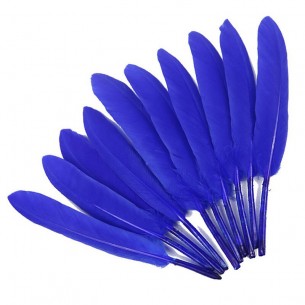 Rooster Feather Whip - Blue... 2