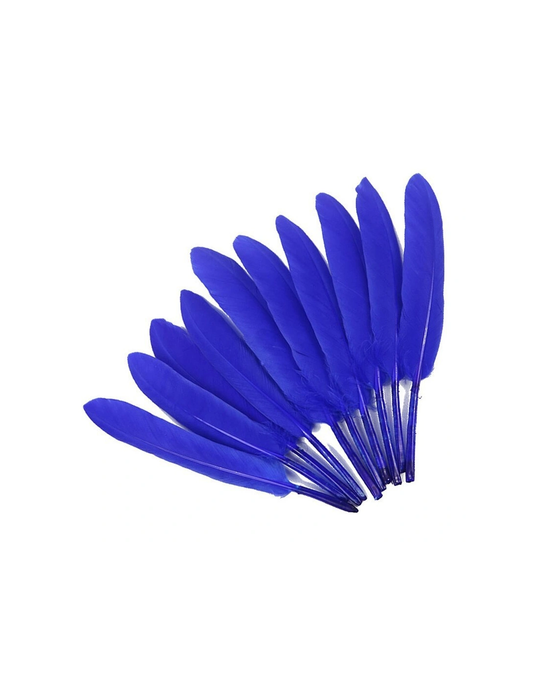 Piuma di Gallo Frusta cm. 30 - Blu